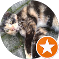 review Theresia Jenda