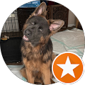 DS&P Digital Marketing Agency - Chicago, Illinois