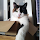 tim.v....@gmail.com's profile photo