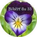 Bébert33