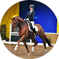 Paardenwagen Huren, Haaren - Haaren