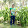 Thileep Annadurai's profile photo