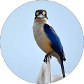 NP Marketing - Nakara, Northern Territory