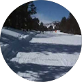 Avatar de Alexandre.i