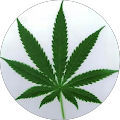 Avatar de restons.E