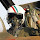 مزدک عمادی's profile photo