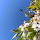 Hapee de Groot's profile photo