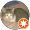 モフモフっち