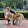 Luen-Yung Lin's profile photo