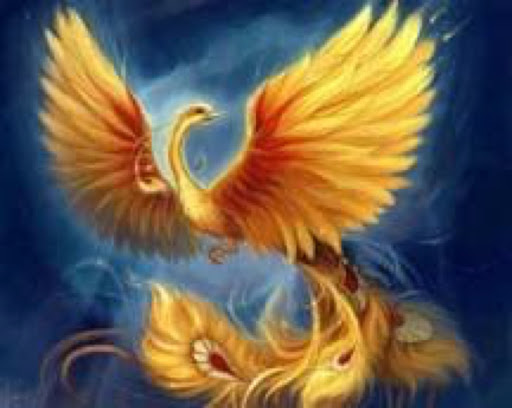 Phoenix Grant