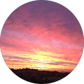 Avatar de recolata.e