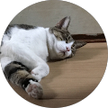 chisako