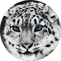Schneeleopard_-