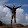 Stephen Fenwick-Paul's profile photo