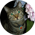 Community member