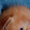 Brandon Holle's profile photo