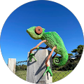 Avatar de Nicolas.G