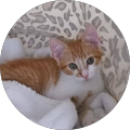 Avatar de Léa.h