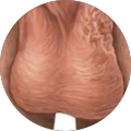 Avatar de Mickael.o