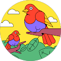 Avatar de Abdourahim.u