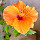 KPLG's profile photo