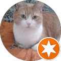 Avatar du profil de Donata Rosti