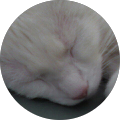 Avatar de Sylvia.E