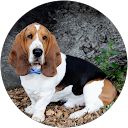 J Hudgins profile picture