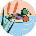 Seiler Shiatsu - Baden
