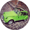 Avatar de axelpalmeraie.