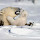 Tanuan_ChongT's profile photo