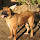 dkh...@gmail.com's profile photo