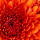 vietru...@gmail.com's profile photo
