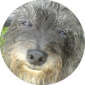 Avatar de Geneviève.a