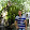 Symeonidis Panagiotis's profile photo
