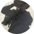 Avatar de Clody.A