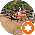 Alexandria Apartments Sunshine Coast - Alexandra Headland, Queensland