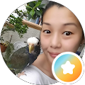 Hiro, Poppy & Flock