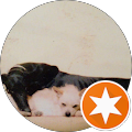 Homeside B & B - Towcester