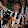 Daniel Ângelo's profile photo