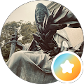Ulixes