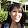 betsy lee's profile photo