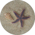 Avatar de Mélanie.3