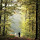 aeto...@gmail.com's profile photo