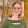 bamo...@gmail.com's profile photo