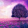 Abdul Ghani Shahzaib's profile photo