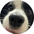 Community member