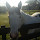 Taco's profile photo