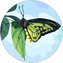 Andrea Carrillo's profile image