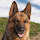 pig...@libero.it's profile photo